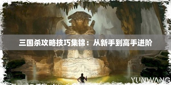 三国杀攻略技巧集锦：从新手到高手进阶