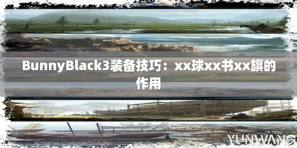 BunnyBlack3装备技巧：xx球xx书xx旗的作用