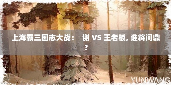 上海霸三国志大战：  谢 VS 王老板, 谁将问鼎？