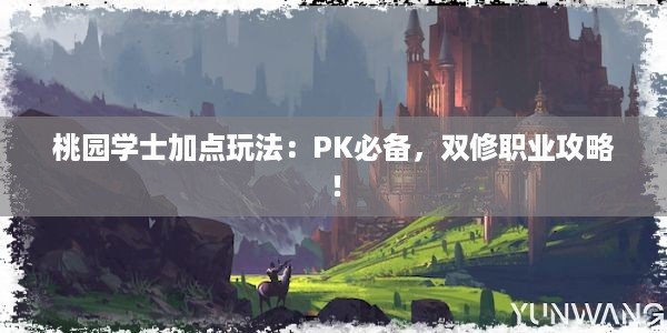 桃园学士加点玩法：PK必备，双修职业攻略！