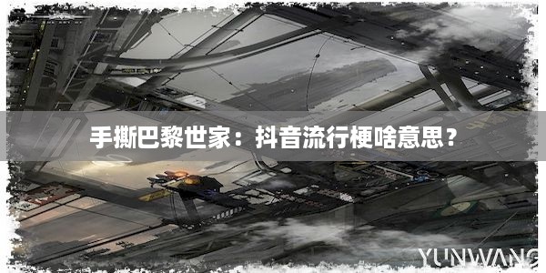 手撕巴黎世家：抖音流行梗啥意思？