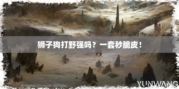 狮子狗打野强吗？一套秒脆皮！