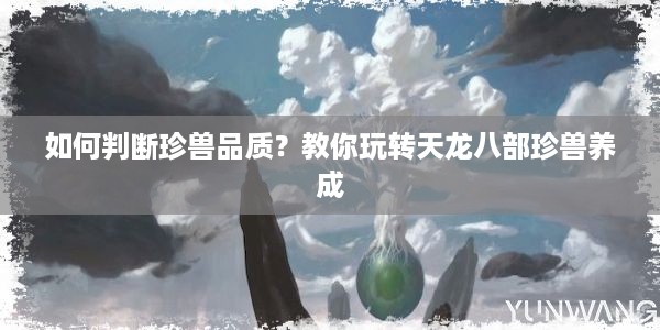 如何判断珍兽品质？教你玩转天龙八部珍兽养成