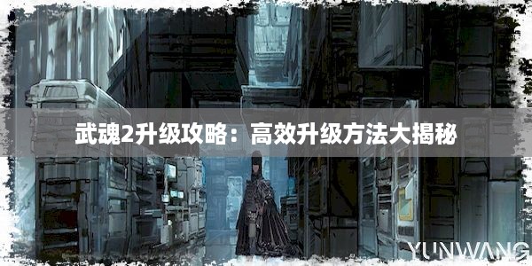 武魂2升级攻略：高效升级方法大揭秘