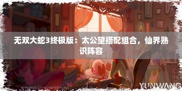 无双大蛇3终极版：太公望搭配组合，仙界熟识阵容