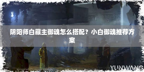 阴阳师白藏主御魂怎么搭配？小白御魂推荐方案