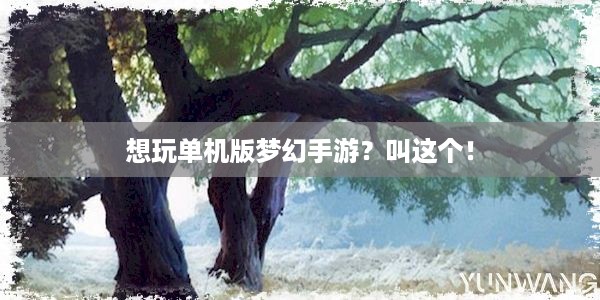 想玩单机版梦幻手游？叫这个！