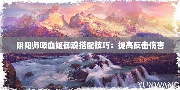 阴阳师吸血姬御魂搭配技巧：提高反击伤害