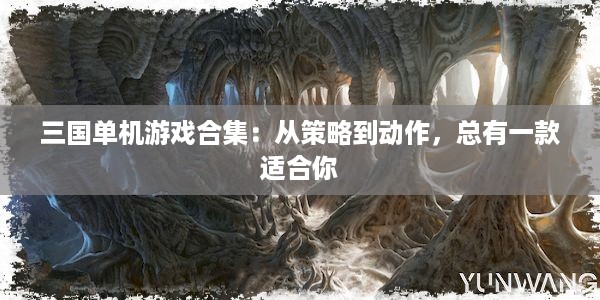 三国单机游戏合集：从策略到动作，总有一款适合你