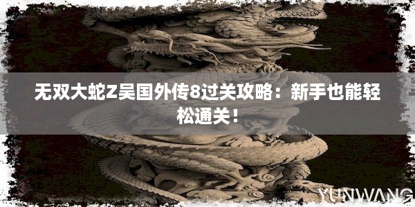 无双大蛇Z吴国外传8过关攻略：新手也能轻松通关！