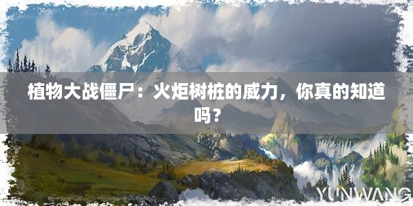 植物大战僵尸：火炬树桩的威力，你真的知道吗？