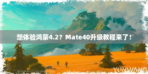 想体验鸿蒙4.2？Mate40升级教程来了！