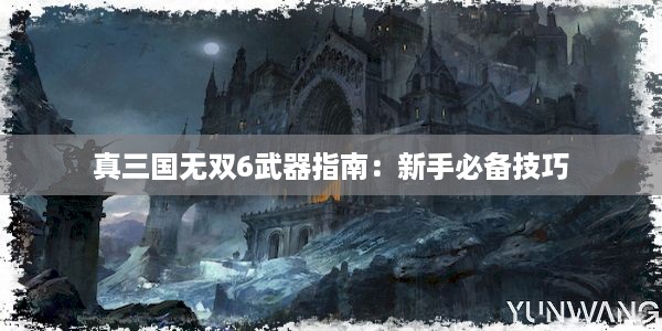 真三国无双6武器指南：新手必备技巧