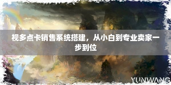 视多点卡销售系统搭建，从小白到专业卖家一步到位