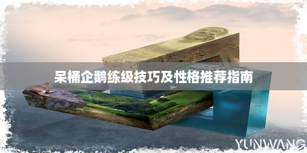 呆桶企鹅练级技巧及性格推荐指南