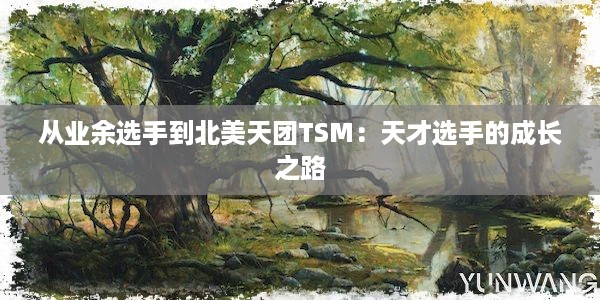 从业余选手到北美天团TSM：天才选手的成长之路