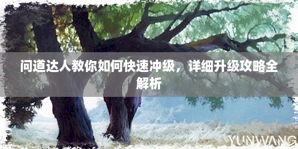 问道达人教你如何快速冲级，详细升级攻略全解析