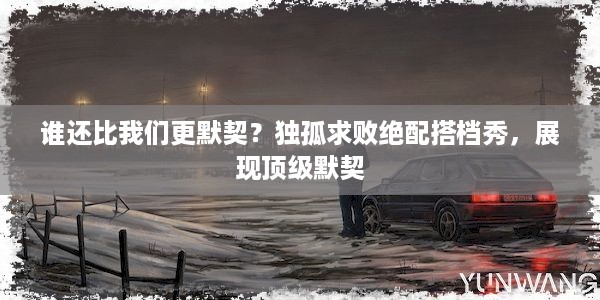 谁还比我们更默契？独孤求败绝配搭档秀，展现顶级默契